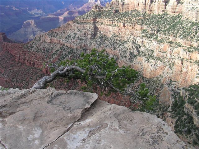 p1010008