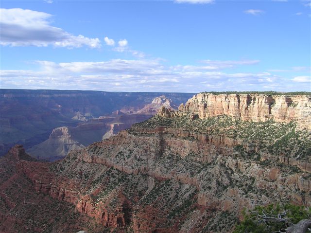 p1010010