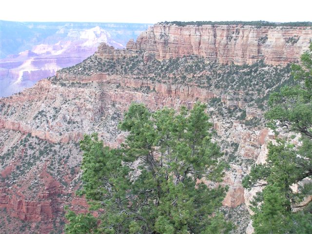 p1010013