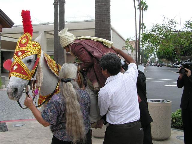 p1010023.jpg