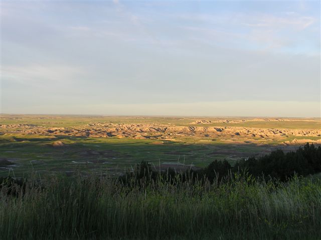 p1010111