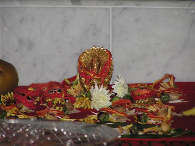 PB050061