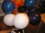 May2006 053