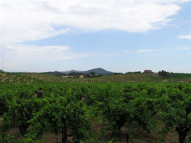 P6280111