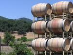 Thursday in Napa