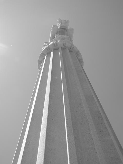 P6290017