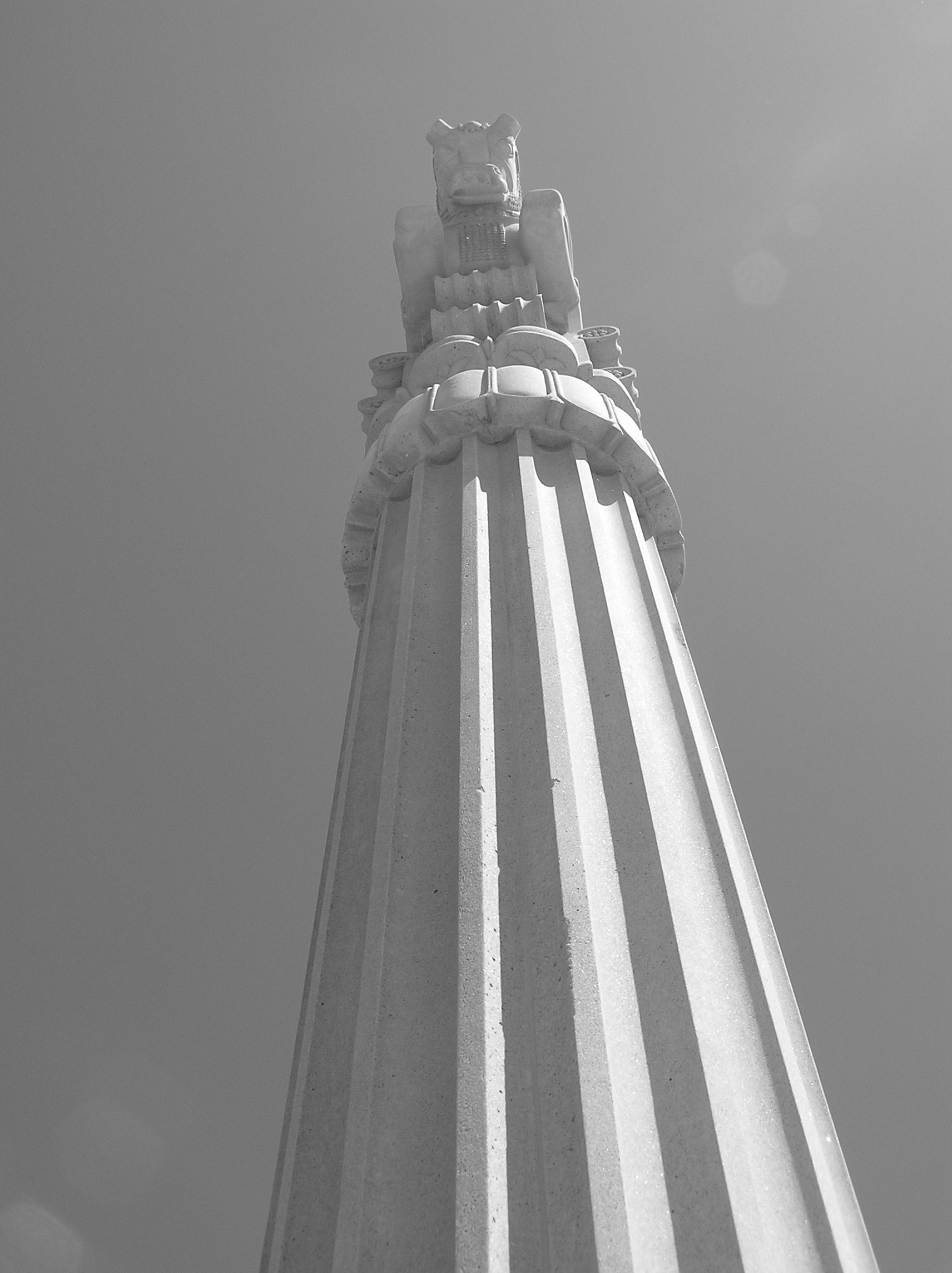 P6290018