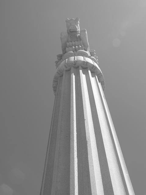 P6290018