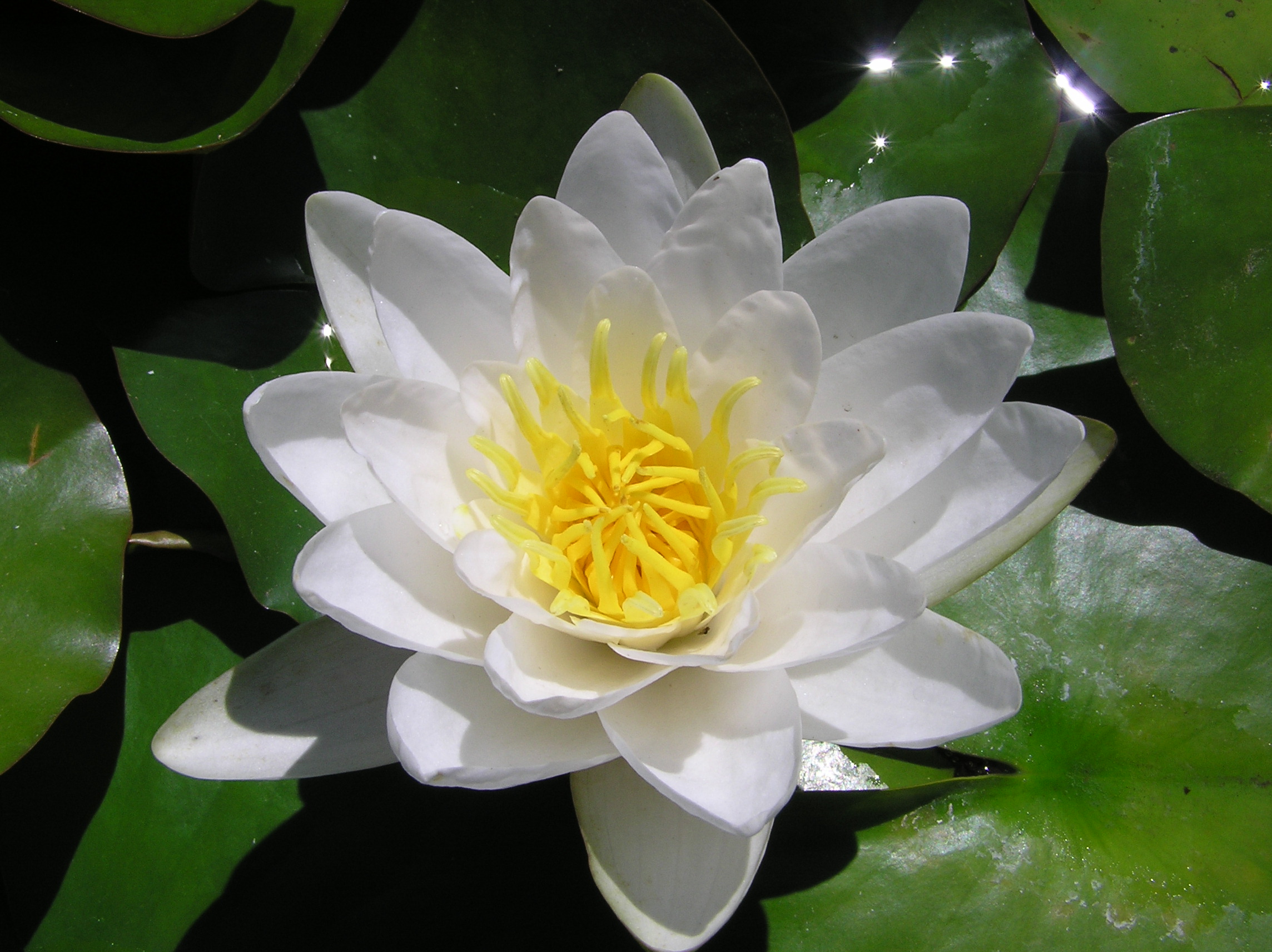 P6290020