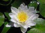 P6290020