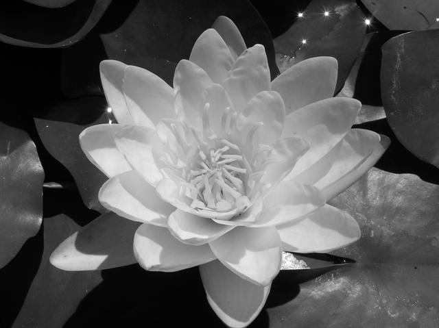 P6290021