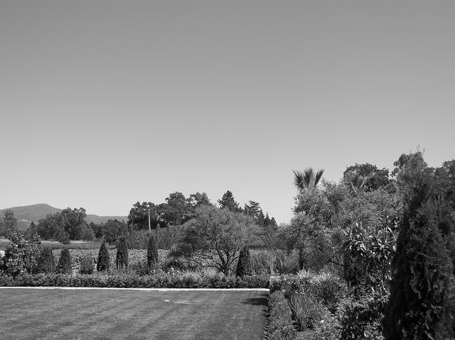 P6290023