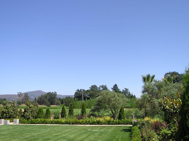 P6290024