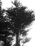 P6300094