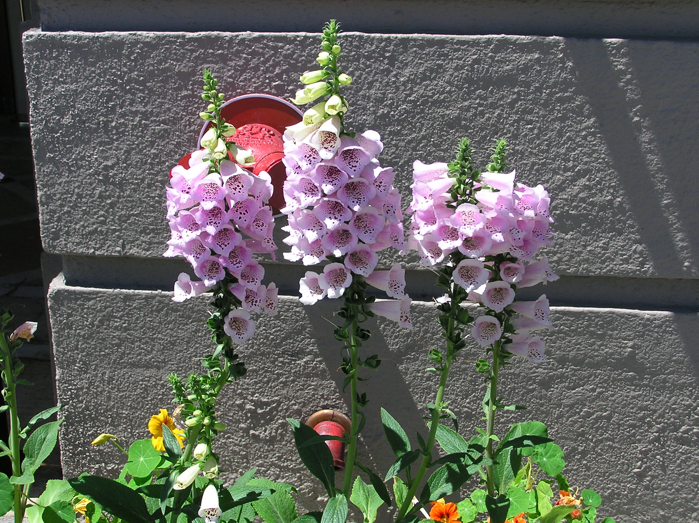 P7010113