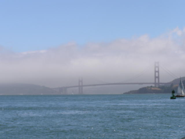 P7010161