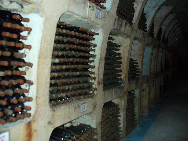 P1000578.JPG