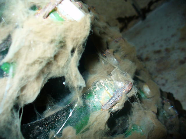 P1000580.JPG