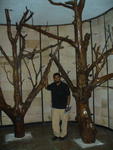 P1000591.JPG