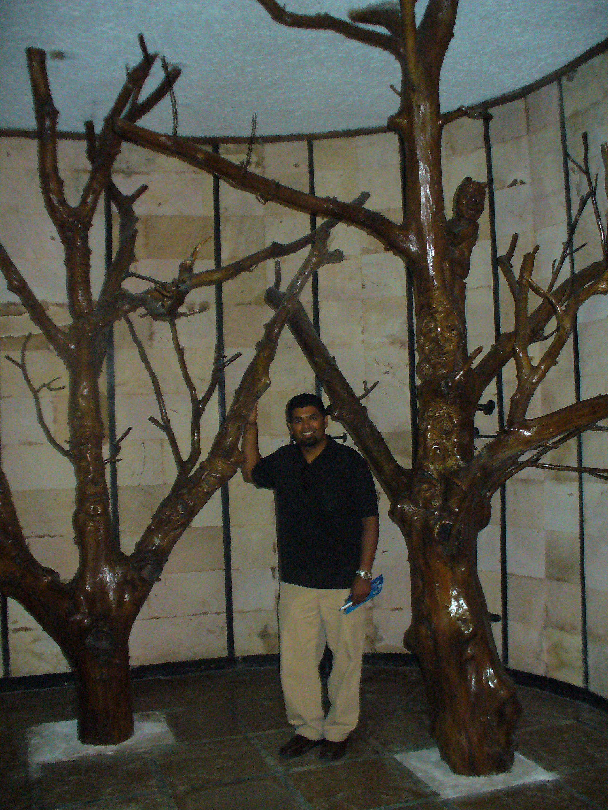 P1000591.JPG
