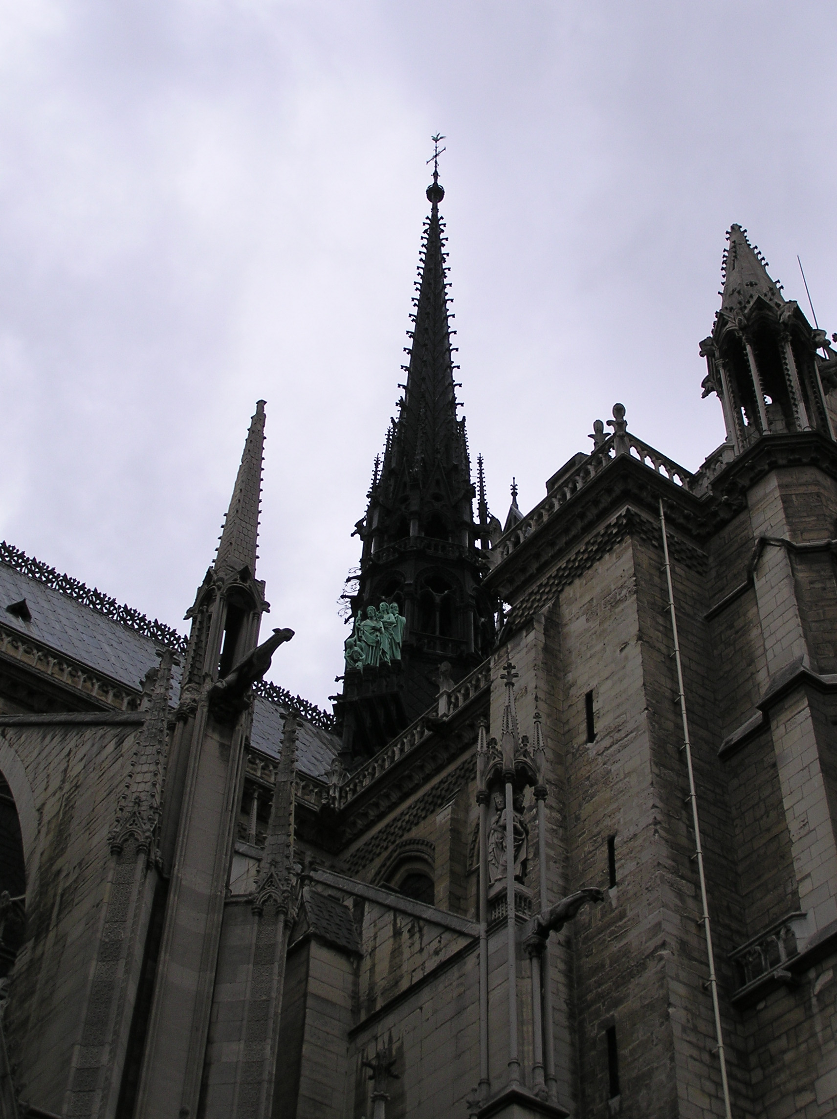 One of the Many Side Views