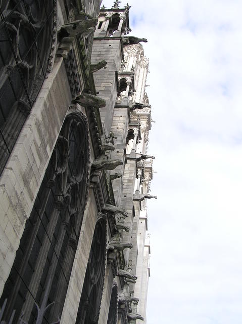 P1010004