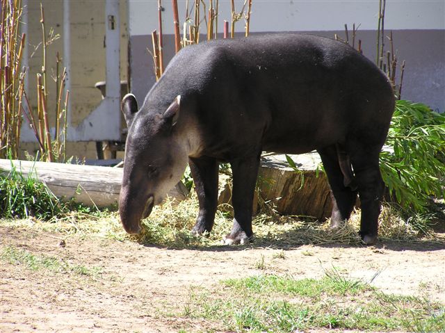P1010177.JPG