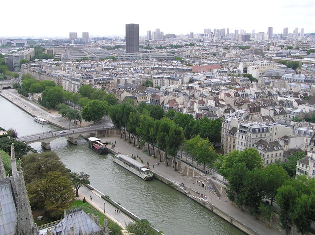 View of Seine from top of Notre Dame