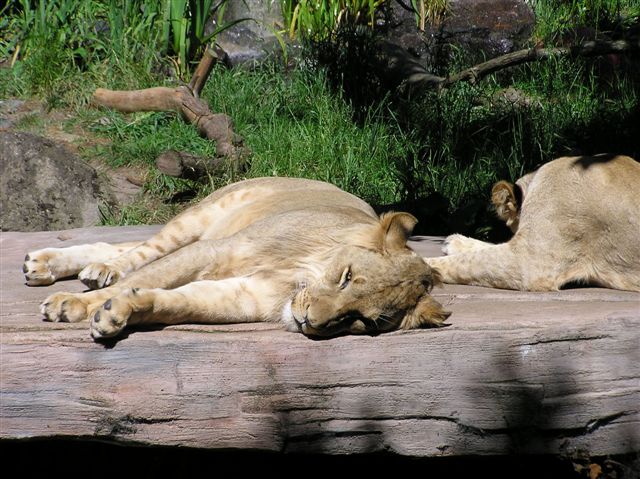 P1010179.JPG