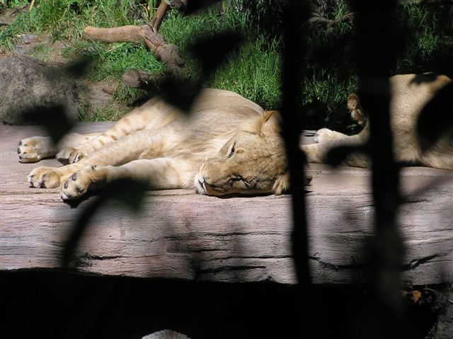 P1010180.JPG