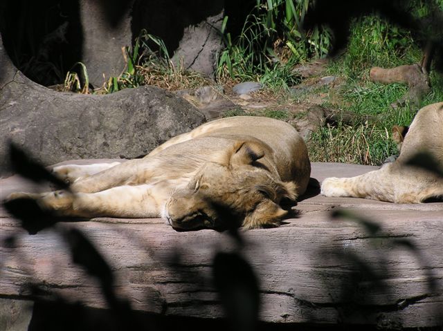 P1010181.JPG