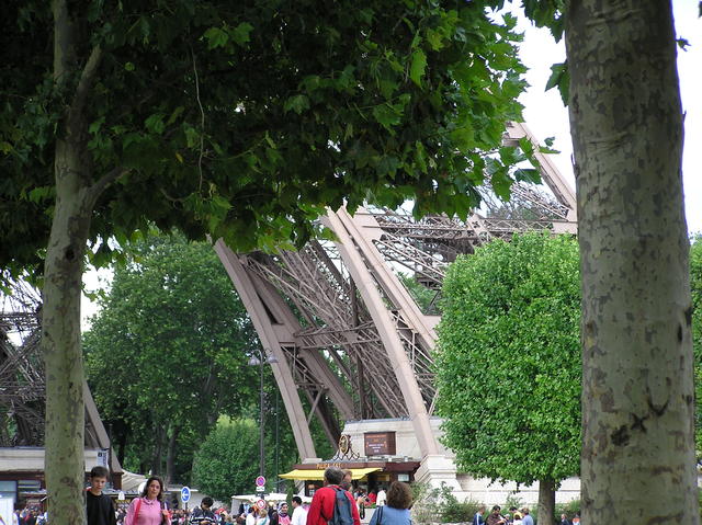 Peeking through the trees