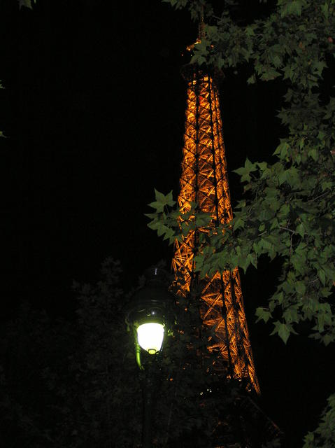 Through the trees at night