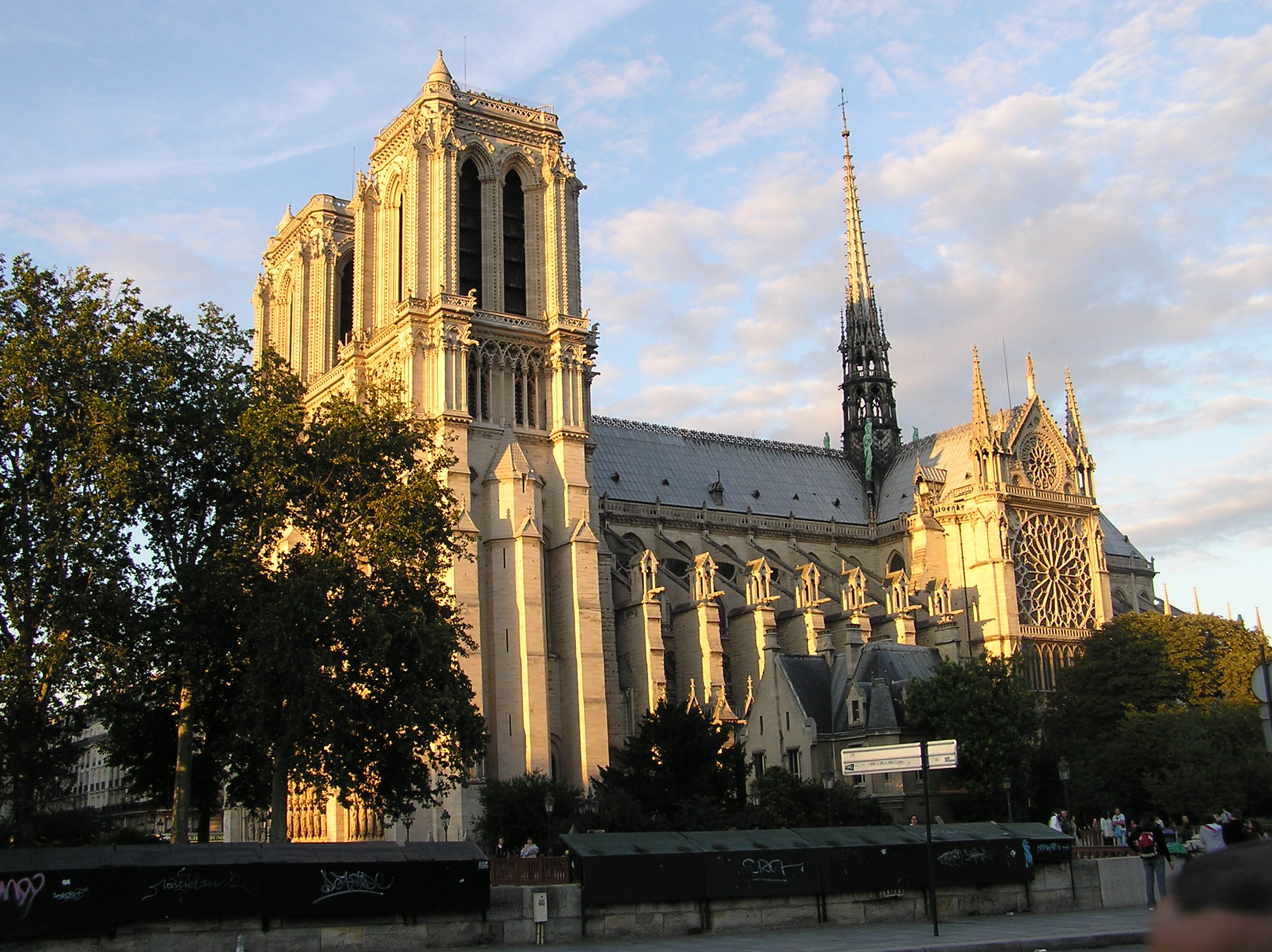 Another side view