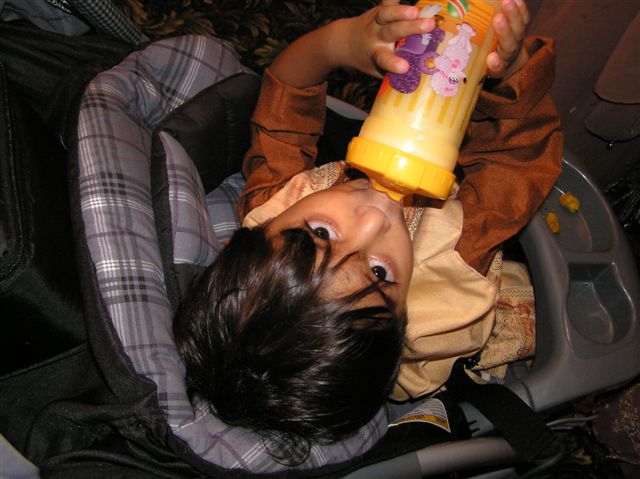 P1010055.JPG