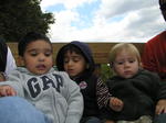 The three musketeers
