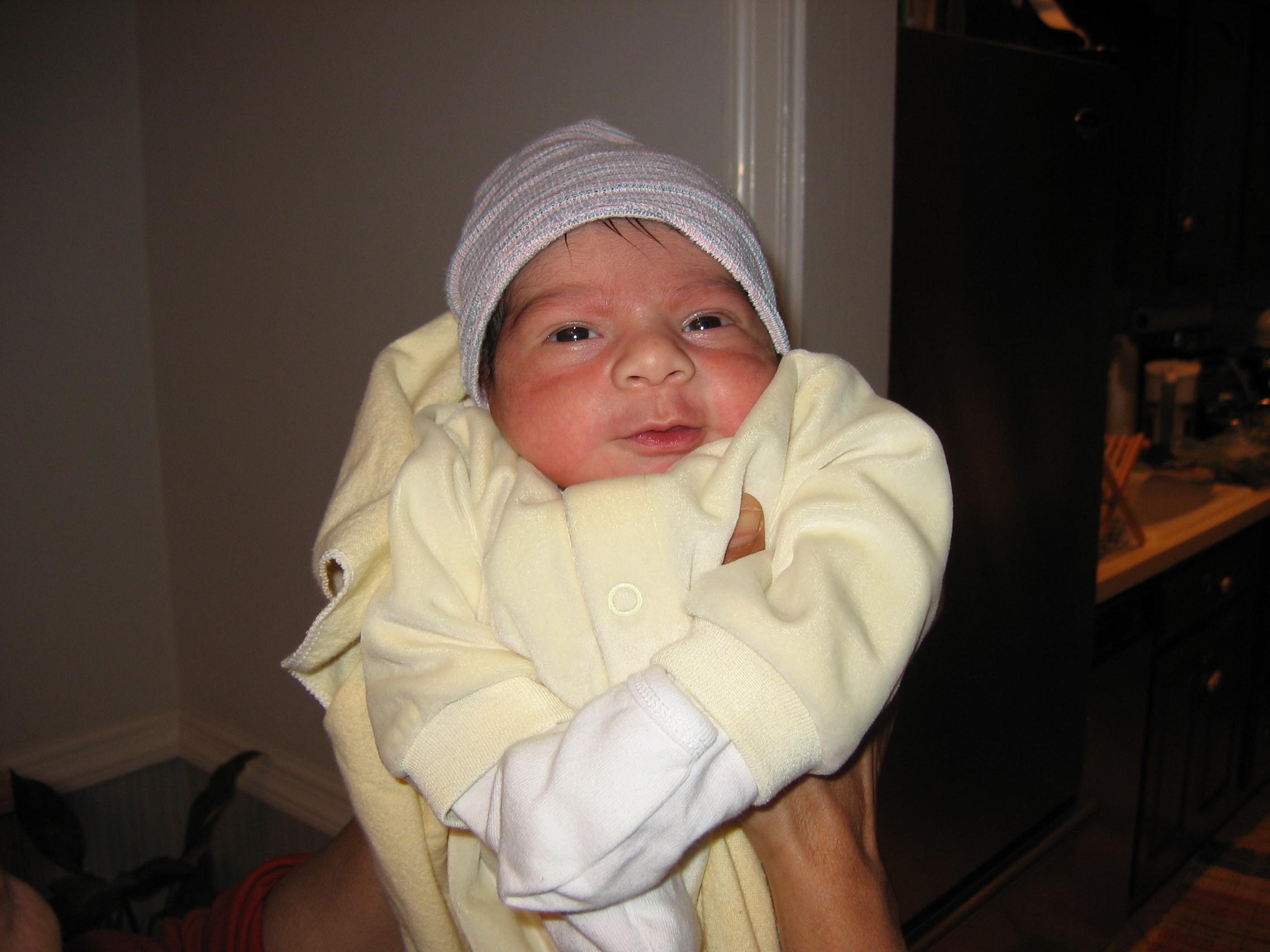 Picture 234