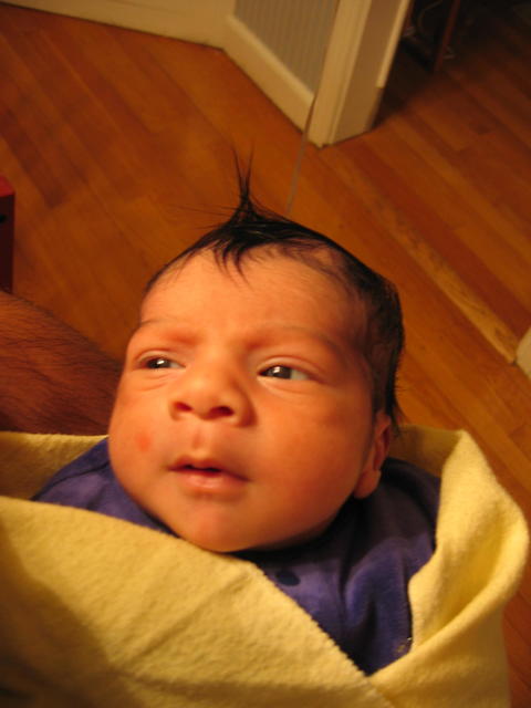 Picture 238