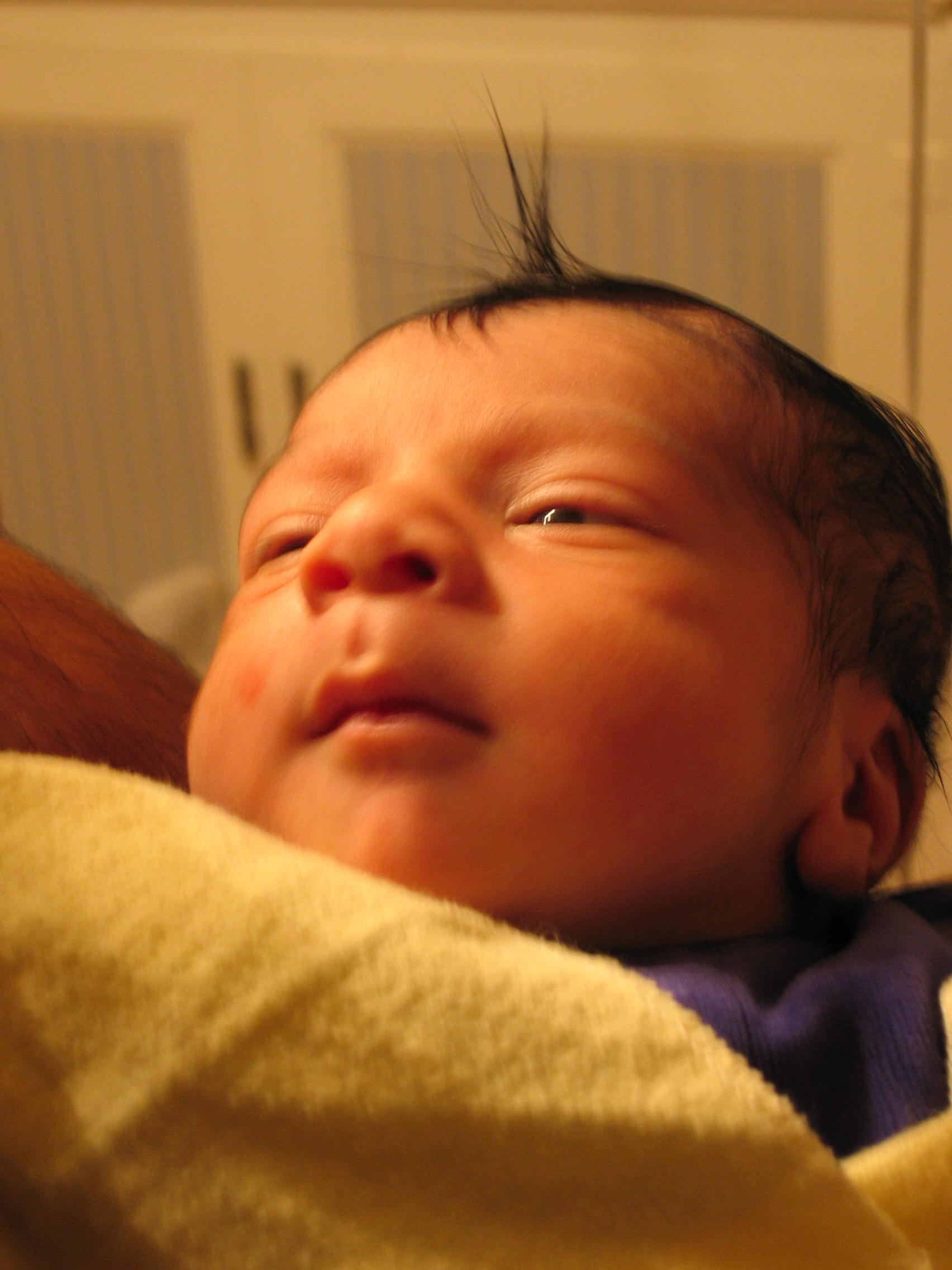 Picture 236