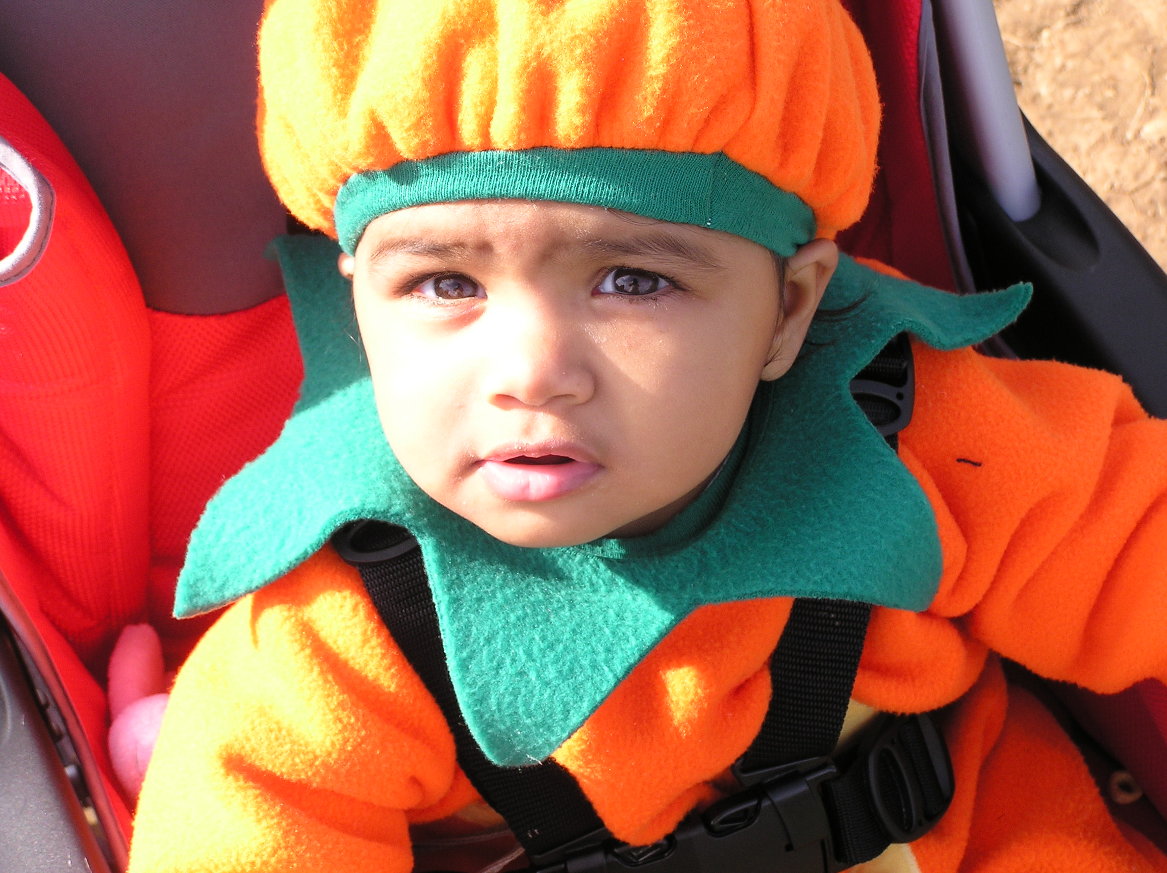 Halloween06 001