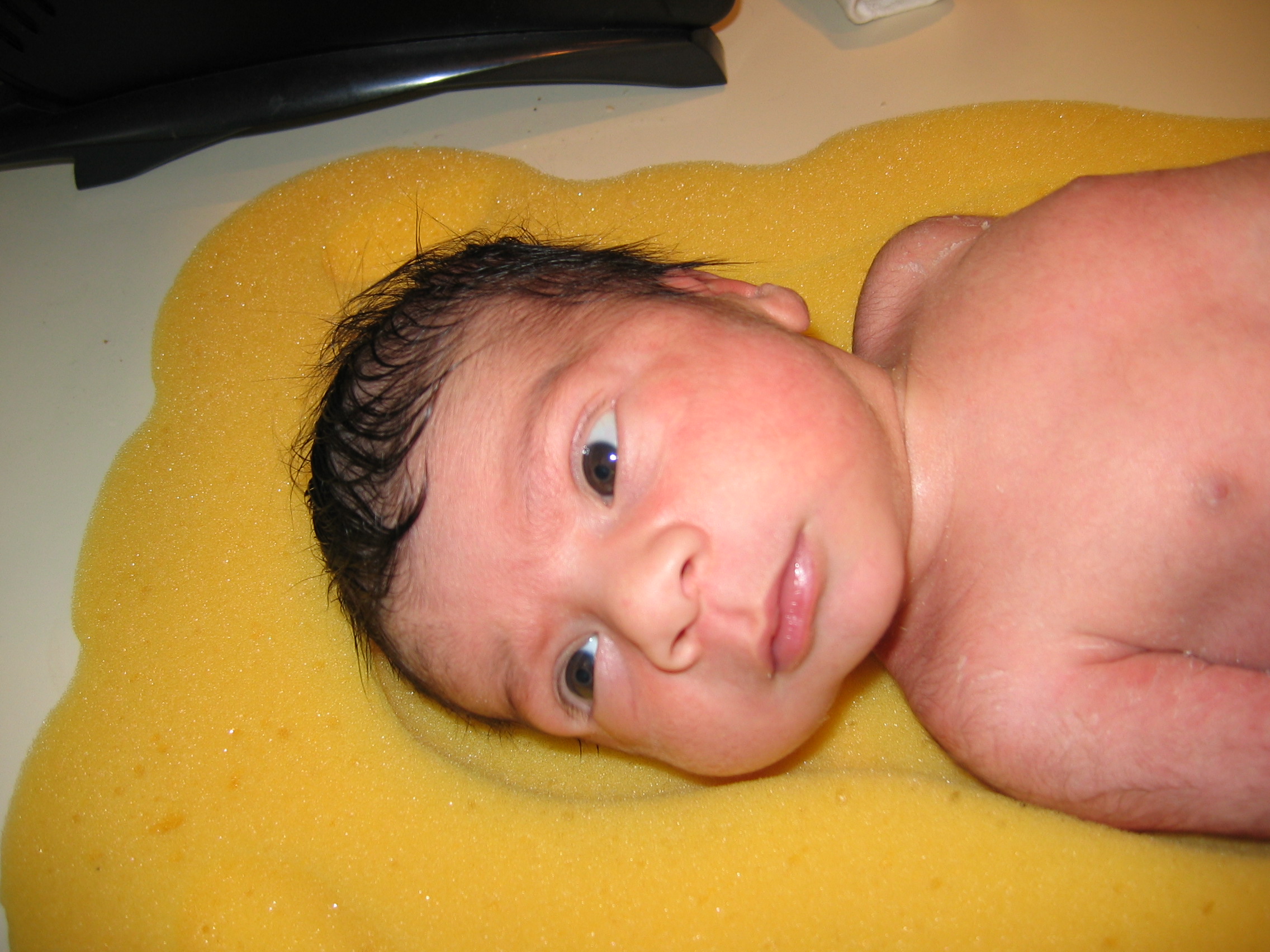 What you looking at Willis?