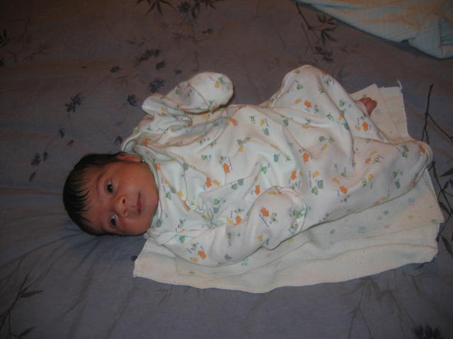 Picture 273.jpg