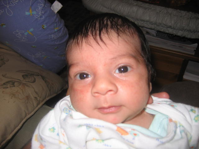 Picture 279