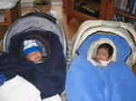 Sleeping Beauties