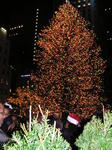 Day in New York December 06