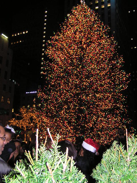 The Tree