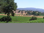 TK Offsite in Sonoma/Napa