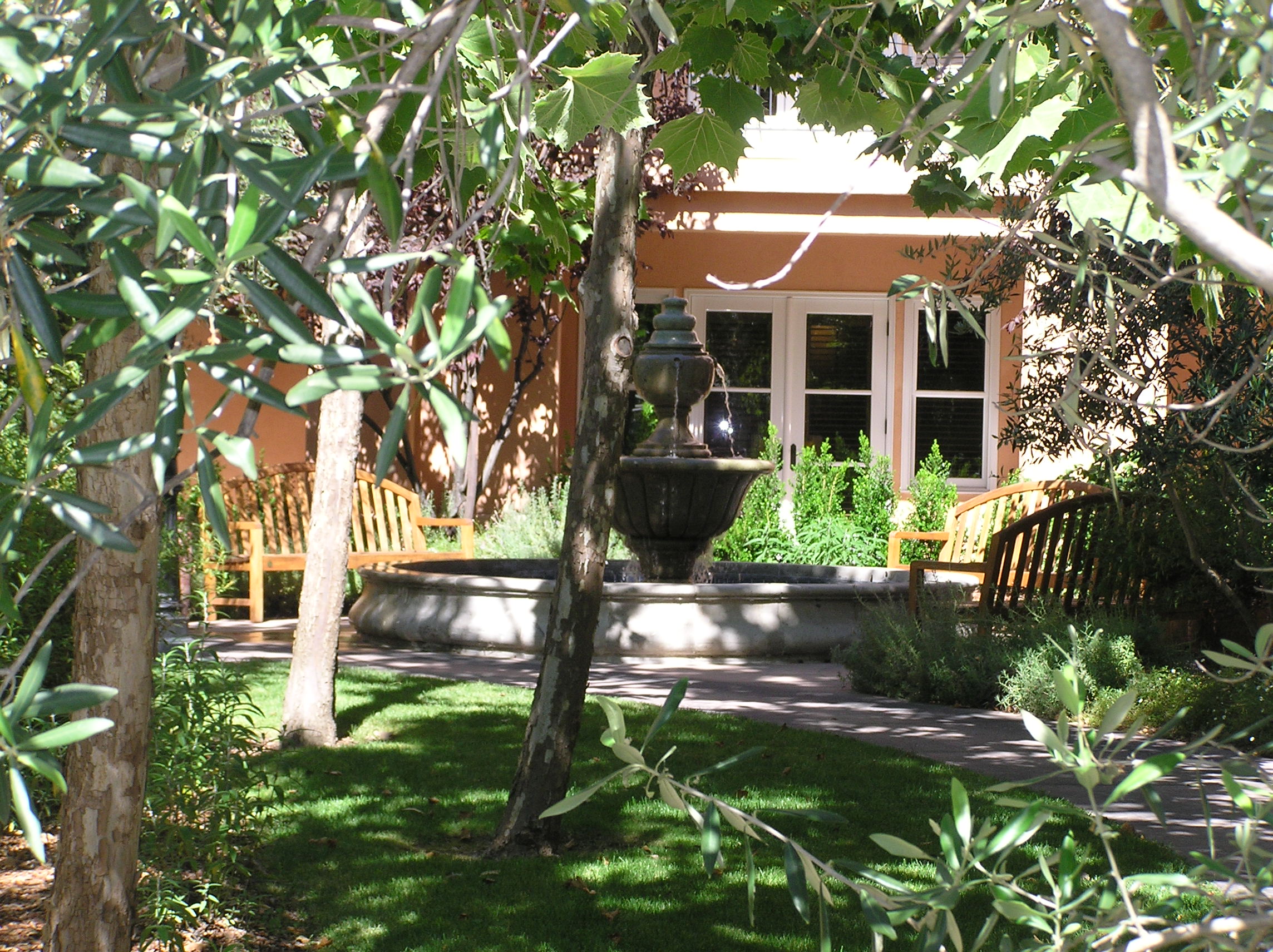 A neighboring "bungalow" in the midst of olive trees