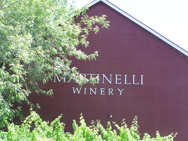 Beautiful Martinelli