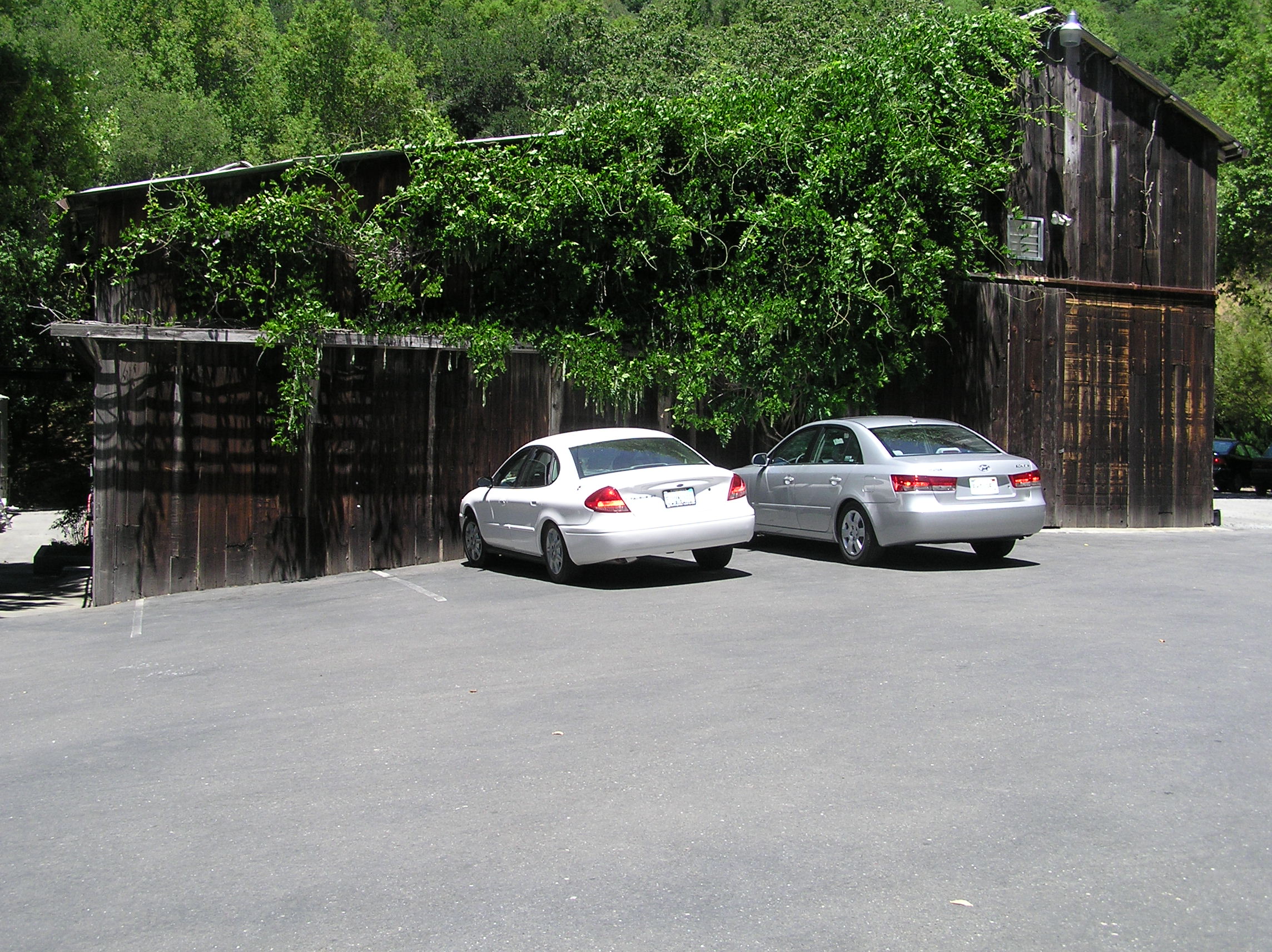 The outside of Davis Bynum (and 2 cars)